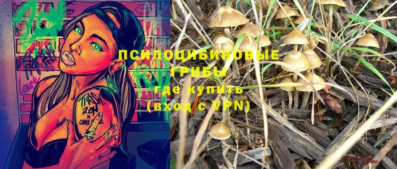 Галлюциногенные грибы Magic Shrooms  Заречный 